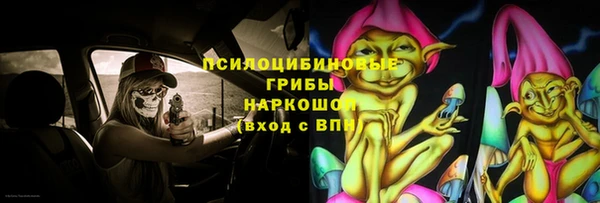 стафф Гусь-Хрустальный