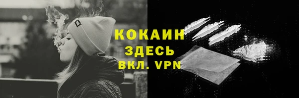стафф Гусь-Хрустальный